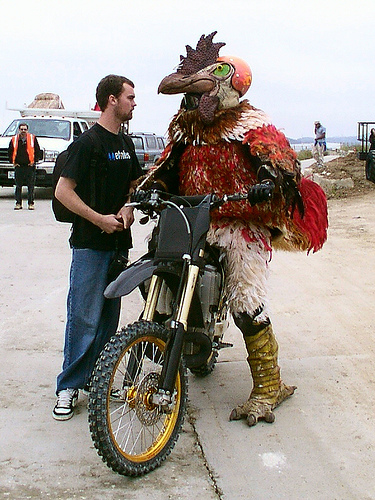 guy-in-chicken-suit-on-motorcycle