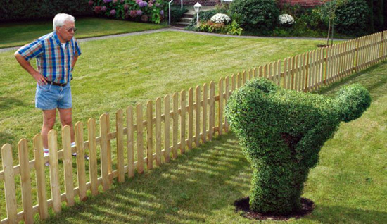 man-staring-at-neighbors-funny-hedges.jpg